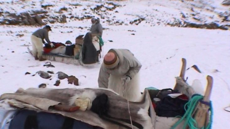 Atando la carga en los trineos de Quinissut - Expedición Thule - 2004