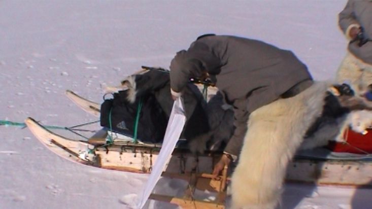 Avigiaq monta qamutaarruk para cazar una foca - Expedición Thule - 2004