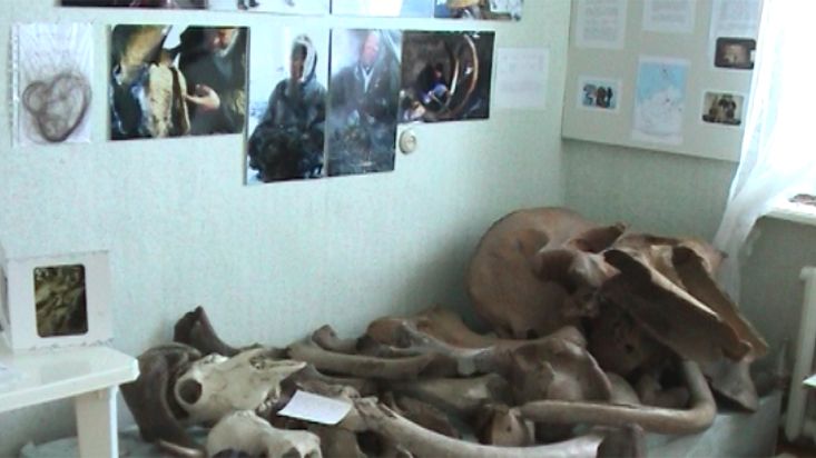 Restos de mamuts en el museo de Khatanga - Expedición Polo Norte Geográfico - 2002