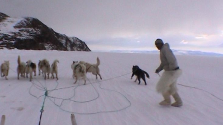 Salida del tirneo de perros de Manumina de Quinissut - Expedición Thule - 2004