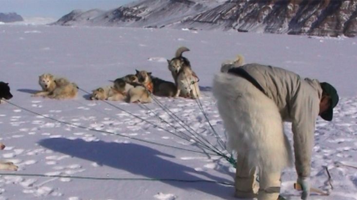 Manumina desenredando las cuerdas de tiro - Expedición Thule - 2004