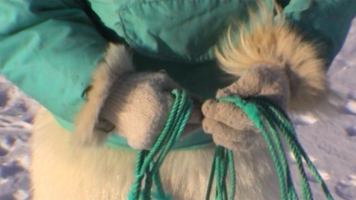 El Inuk Manumina ata a los perros al hielo - Expedición Thule - 2004