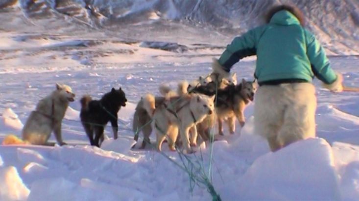 El trineo de Manumina en el hielo caótico del fiordo Kangerldlussuaq - Expedición Thule - 2004