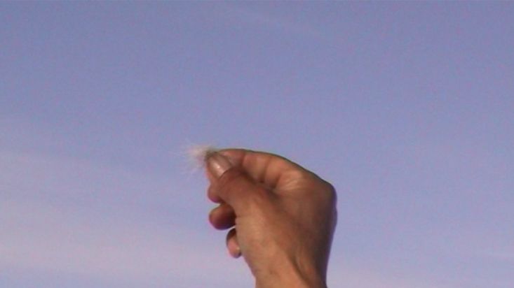 Manumina comprueba la dirección del viento con pelo de caribú - Expedición Thule - 2004