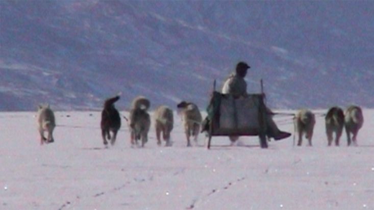 Avigiaq va con su trineo de perros hacia la foca cazada - Expedición Thule - 2004