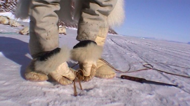 Manumina fijando al hielo una cuerda para atar los perros - Expedición Thule - 2004