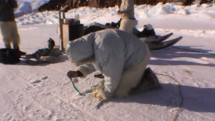 José Naranjo fijando una cuerda al hielo marino - Expedición Thule - 2004
