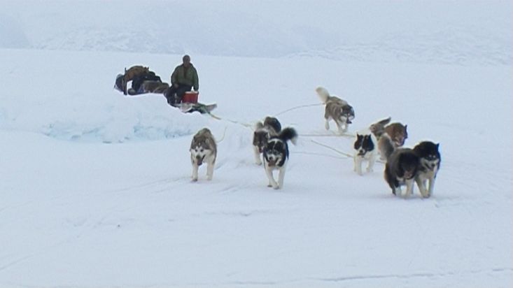 Trineo de perros llegando a la zona de montaje de campamento - Expedición Nanoq 2007