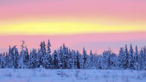 Fotografías del viaje en la Laponia sueca y noruega -  Manuel de Frutos - Noviembre 2016