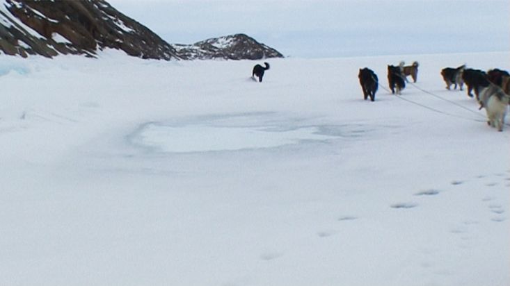 Ruta en trineo de perros hacia el Maktak Fiord - Expedición Nanoq - 2007