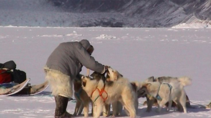  Nacho acariciando a los perros groenlandeses de Avigiaq - Expedición Thule - 2004