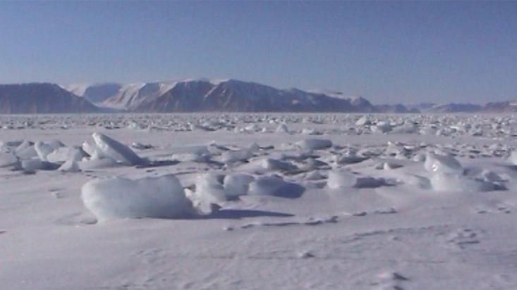 El trineo de Manumina en la banquisa nevada - Expedición Thule - 2004