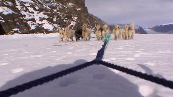 Los perros groenlandeses tirando del trineo de Manumina - Expedición Thule - 2004