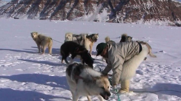 Manumina desenredando a uno de sus perros - Expedición Thule - 2004