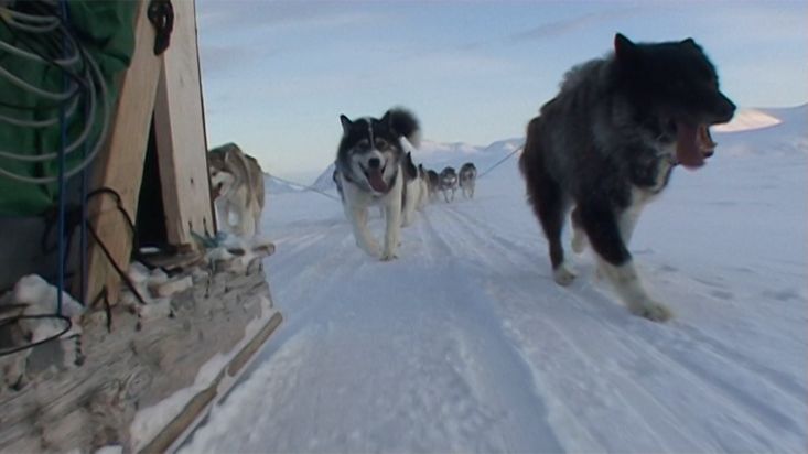 Los perros árticos arrastrando los trineos hacia  Qikiqtarjuaq - Expedición Nanoq 2007