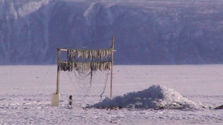 Pasando una zona de pesca cerca de Qeqertat - Expedición Thule - 2004