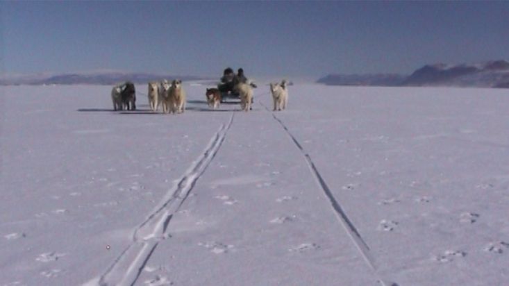 El trineo de Avigiaq y Nacho llegan a nuestra posición - Expedición Thule - 2004