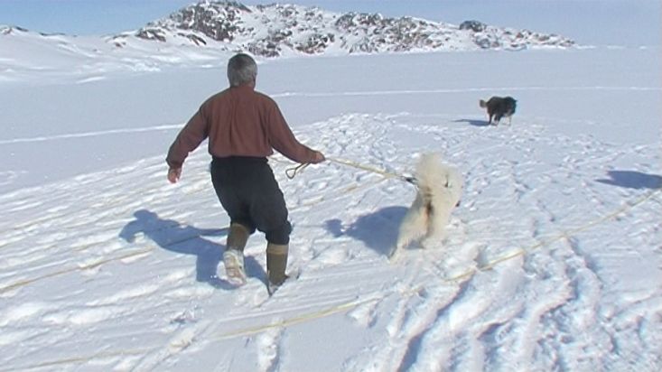 Preparando los trineos y los perros para empezar la ruta del día - Expedición Nanoq - 2007