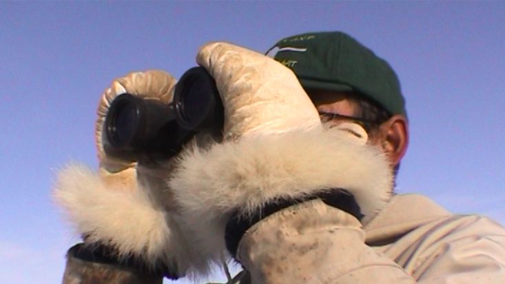 Manumina divisa una foca con los prismáticos - Expedición Thule - 2004