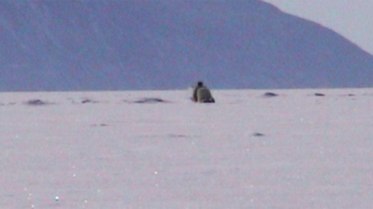 Avigiaq repta hacia la foca camuflado en su artilugio de caza - Expedición Thule - 2004