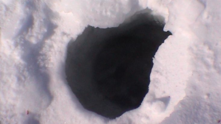 Respiradero en el hielo de la foca - Expedición Thule - 2004