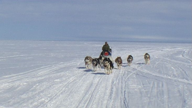 Ruta en trineo de perros alrededor de Broughton Island - Expedición Nanoq 2007