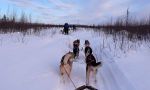 Viaje de incentivos en Laponia - Descubriendo la magia de las Luces del Norte