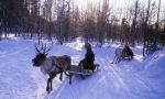 Viaje de incentivos en Laponia - Descubriendo la magia de las Luces del Norte