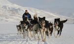Viaje de incentivos en Svalbard - Aventura invernal a las puertas del Polo Norte