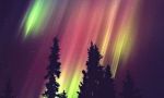 Viaje Aurora Boreal Laponia Borealis, observando las luces del Norte