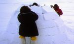 Viaje Groenlandia invernal, icebergs e iglús