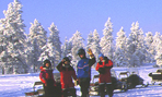 Viaje de incentivos en Laponia - Aventura bajo la Aurora Boreal