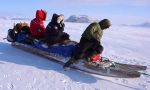 Viaje osos polares Groenlandia