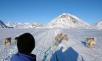 En trineo de perros en la tierra de los últimos Inuit