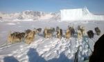 En trineo de perros por la costa oriental de Groenlandia