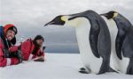 Buscando al pingüino emperador