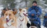 Tromso, descubriendo el Ártico Noruego