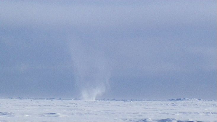 Un tornado de nieve en la isla de Devon - Expedición Nanoq 2007
