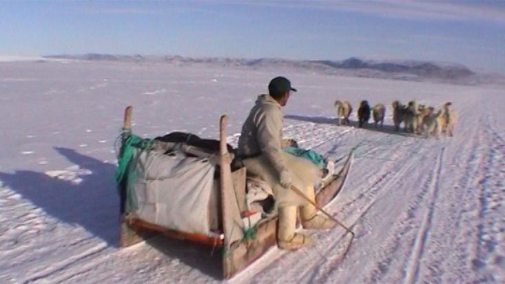 Manumina subiéndose al trineo en marcha - Expedición Thule - 2004