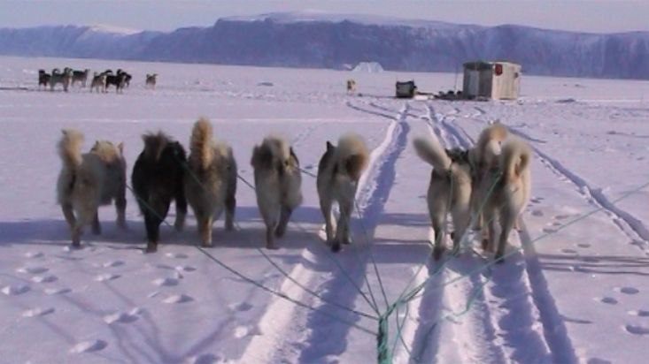 El trineo de Manumina llegando donde hay una pareja de pescadores - Expedición Thule - 2004