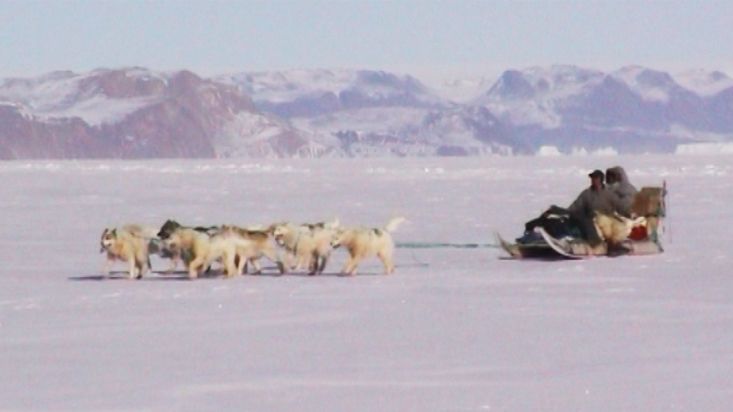 El trineo de Avigiaq y Nacho llegando al punto de parada - Expedición Thule - 2004