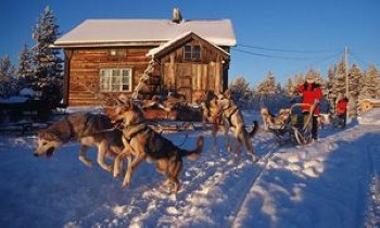 Gran ruta en trineo de perros en Laponia