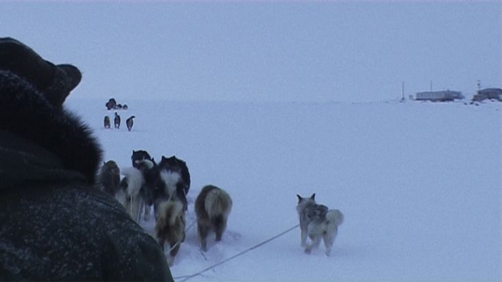 Llegada en trineo de perros a Qikiqtarjuaq - Expedición Nanoq 2007
