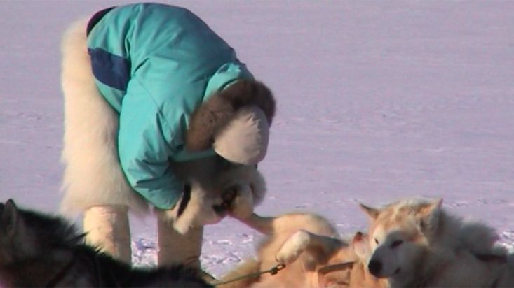 El Inuk Manumina cortando las uñas a sus perros - Expedición Thule - 2004